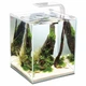 Аквариум AquaEl Shrimp Set Smart 20 250 мм 19 л White (5905546191546) - изображение 1