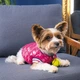 Бомбер для животных Pet Fashion Grace S (4823082430161) - изображение 4