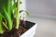 Вазон Idel Flowerbox 40 см Фісташковий/білий (730041) - зображення 10