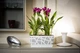Вазон Idel Flowerbox 40 см Фісташковий/білий (730041) - зображення 11
