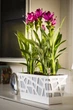 Вазон Idel Flowerbox 40 см Коричневый/белый (730027) - изображение 12