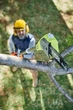 Висоторіз Ryobi ONE+ OPP1820 18В ланцюговий, шина 20 см Oregon (без АКБ і ЗП) (5133001250) - изображение 2