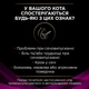 Упаковка влажного диетического корма для взрослых котов Pro Plan Veterinary Diets UR ST/OX Urinary для растворения и снижения образования струвитных камней, с курицей 10x85 г - изображение 7