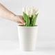 Горщик (ваза-кашпо) для квітів MBM HOME Білий (DH-FLOWERS-29 WHITE) - зображення 3