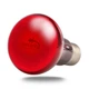 Инфракрасная нагревательная лампа Terrario Nangola Red Night Light 50W - изображение 2