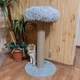 Когтеточка столбик с уютной лежанкой травкой для котиков котят 65х50х48см серая - изображение 2