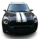 Полосы на капот и багажник ARB 3D TUNING STUDIO Мини купер W 2000х264х0.060мм - изображение 2