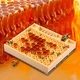 Система для вывода пчелиных маток Никот Nicot 110 ячеек - изображение 3