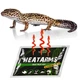 Грілка для рук і транспортування тварин Terrario Heatarms Heat Pack 40H - зображення 5