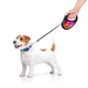 Повідець-рулетка для собак WAUDOG R-leash, малюнок "Конотопські магічні війська", розмір L, до 50 кг, 5 м (8126-0232-01) - зображення 7