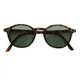 Солнцезащитные очки Sanico MQR 0125 PALMA turtle - lenti green lenti polarizzate cat.2 - изображение 2