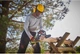 Цепная пила аккумуляторная Ryobi RCS1830-140B ONE+ 18В 30 см (АКБ 1х4 А·час и ЗУ) (5133005547) - изображение 2