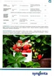 Фунгіцид Світч 10г, Syngenta - изображение 4