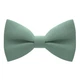 Бабочка Bow Tie House цвета папоротника однотонная с габардина 09480 - изображение 1