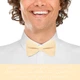 Метелик Bow Tie House великий кремовий 10182L - зображення 5