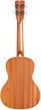 Укулеле концертное CORDOBA 15CM - изображение 6