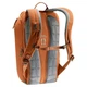 Рюкзак Deuter StepOut 16 chestnut-ivy (3815123 9206) - изображение 5