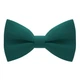 Бабочка Bow Tie House большая зеленая - морской бриз 10183L - изображение 1