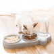 Миска 3 в 1 для котів і собак з вбудованою поїлкою PetCare 500 мл Сірий (00863) - зображення 2