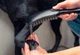 Ручная лейка для душа HANSGROHE DogShower 150 26640670 Matt Black - изображение 5