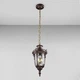 Уличный подвесной светильник Light House DL-18818/1P коричневый - изображение 1