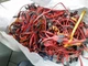 Кабель Sata-Sata Б/В - зображення 2