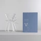 Набор для приготовления кофе: Hario V60: стеклянный пуровер, мерная ложка, 40 фильтров - изображение 2