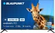 Телевизор Blaupunkt 43UB6000 - изображение 1