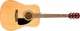 Акустична гітара (набір) Fender FA-115 DREADNOUGHT PACK NATURAL WN V2 - зображення 3