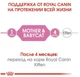 Сухий корм Royal Canin Mother and Babycat для кошенят від 1 до 4 міс. та кішок у період вагітності та лактації,1,2 кг - зображення 4