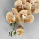 Искусственная орхидея фаленопсис дымчато-песочная VF 0110 - изображение 2