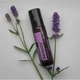 Смесь эфирных масел dōTERRA Serenity Restful Blend Touch | Успокаивающая смесь «Безмятежность» в роллере 10 ml - изображение 2