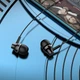 Навушники Borofone BM74 Singer universal з мікрофоном Black - зображення 3
