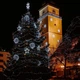 Гірлянда вулична (зовнішня) Springos 18 м 300 LED CL0325 Cold White - зображення 2
