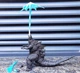 Годзилла: Король Монстров Godzilla: King of the Monsters S.H.MonsterArts Godzilla Figure - изображение 2