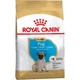 Cухий корм для цуценят Royal Canin Pug Puppy 1,5 кг - изображение 1