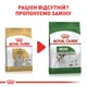Cухий корм для собак Royal Canin Maltese Adult 1,5 кг - изображение 6