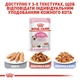 Вологий корм для котят Royal Canin Kitten Loaf 85 г (домашній птах) - зображення 4