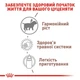 Замінник молока для собак Royal Canin Babydog Milk 2 кг - зображення 2