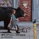 Музыкальный CD диск Red Hot Chili Peppers - The Getaway фирменный - изображение 1