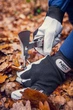Мультитул 11 функцій із нержавіючої сталі Neo Tools 63-112 - зображення 3