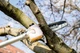 Насадка высоторез Metabo MA-MS 25 (601727850) до аккумуляторного бесщеточного многофункционального привода MA 36-18 LTX BL Q (601725850) - изображение 8