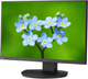 Monitor 24" NEC MultiSync EA241F Czarny (60004786) - obraz 2