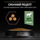 Сухой корм Purina PRO PLAN Adult 1+ Delicate Digestion для взрослых кошек с чувствительным пищеварением и требовательных к еде с ягненком 3 кг (7613035846708) - изображение 7