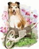 Картина по номерам "Счастливая собака" GX45531 40х50 | Brushme - изображение 1