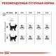 Сухой корм Royal Canin DENTAL CARE для взрослых кошек, профилактика образования зубного налета и формирования зубного камня 400 г (3182550717175) - изображение 3