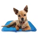 Нетоксичный охлаждающий коврик The Green Pet Shop Cool Pet Pad 30 см х 40 см для собак весом до 4 кг - изображение 1