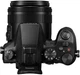 Фотоапарат Panasonic LUMIX DMC-FZ2000 - зображення 10