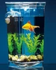 Аквариум самоочищающийся для рыб My Fun Fish - изображение 4