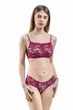 Комплект женский кружевной топ и трусики-хипстеры Felisiya Lingerie Фуксия 2002+253-105 S - изображение 1